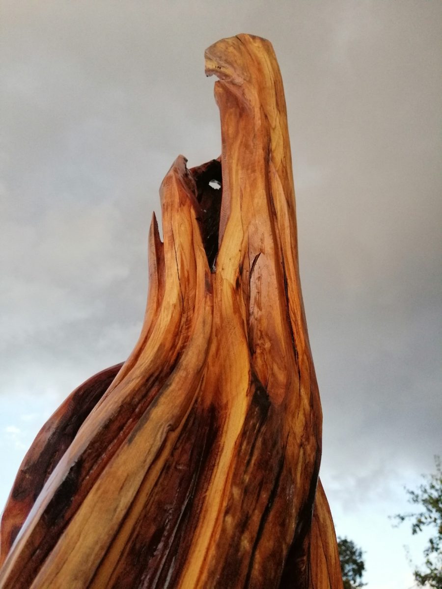 Tronc d'arbre mort sculpté en forme de tête de dragon, le bois huilé aux reflets rouges, sous un ciel gris.